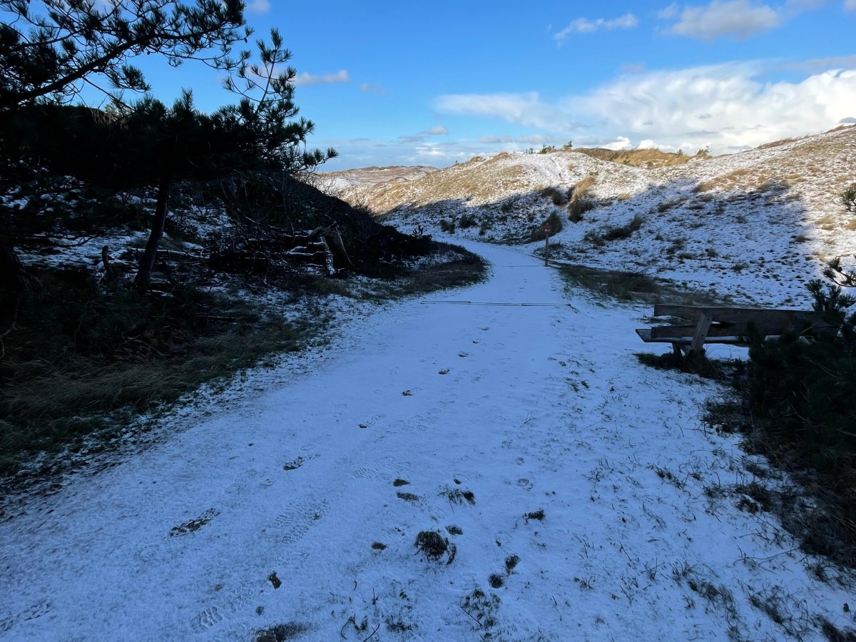 Ik blijf maar uitstellen. Waar ben ik bang&nbsp;voor?
